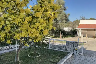 Family house near the sea in a quiet location - Pelješac - 3