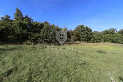 Building plot 15,136 m², Žminj - investment location - 8