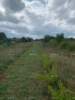 Building plot, Svetvinčenat - flat, electricity and water next to the land - 4