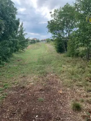 Building plot, Svetvinčenat - flat, electricity and water next to the land - 6