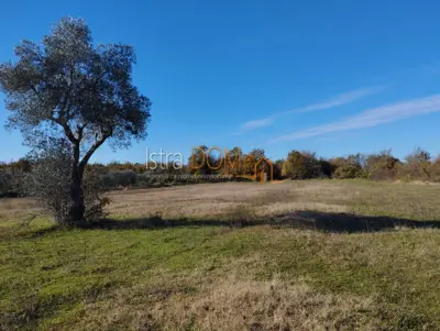 Agricultural land 5,864 m², Butkovići - asphalt access