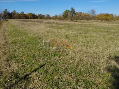 Agricultural land 5,864 m², Butkovići - asphalt access - 3