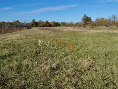 Agricultural land 5,864 m², Butkovići - asphalt access - 4
