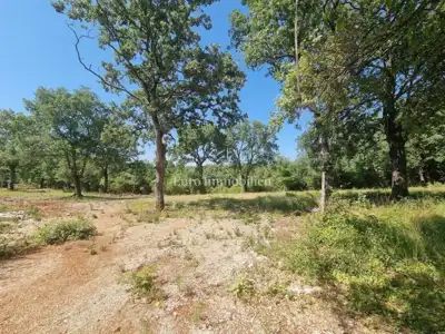 Building-agricultural land 627 m², Sveti Lovreč - 4