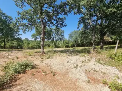 Building-agricultural land 627 m², Sveti Lovreč - 2