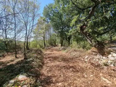 Building-agricultural land 627 m², Sveti Lovreč - 5