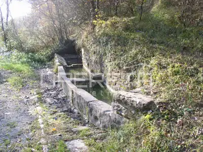Prodaja, Kuća, Motovun, Livade, Samostojeća, 200 m² - 8