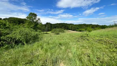 Baugrundstück 4.788 m², Kupinečki Kraljevec an der Hauptstraße - 1