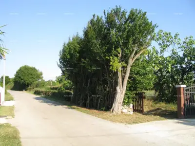 Building plot 1,329 m², Barban - quiet location - 3
