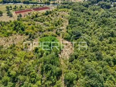 Zemljište 36.918 m², Poreč - turistička zona i prirodno okruženje - 7