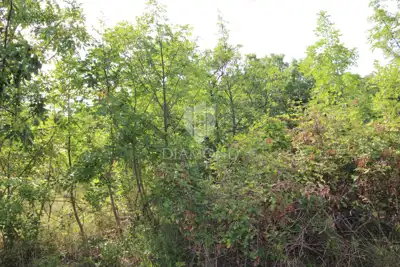 Kostrena, građevinsko zemljište na vrhunskoj lokaciji - 4