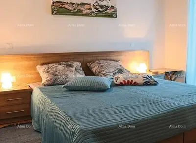 Kuća 400 m², Žminj, šumsko okruženje i privatnost - 8