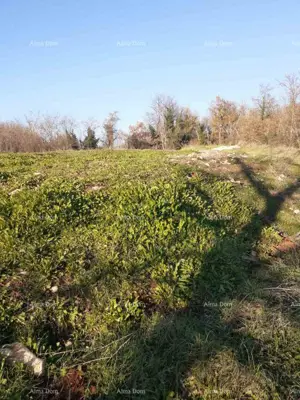 Zemljište 5 000 m², Brtonigla - građevinski dio za poslovnu namjenu