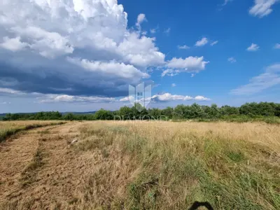Poreč, okolica, Grundstück am Rand mit offenem Blick - 4