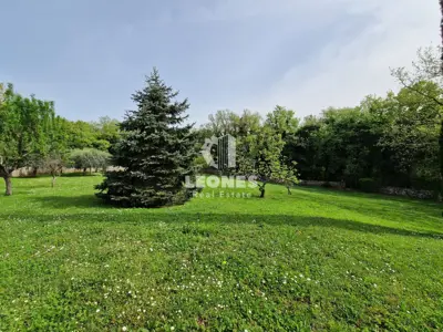Imanje 600 m², Brtonigla - mirna lokacija u prirodi - 7