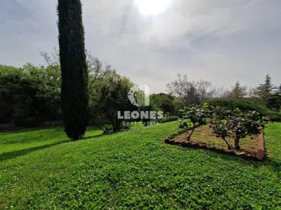 Imanje 600 m², Brtonigla - mirna lokacija u prirodi - 6