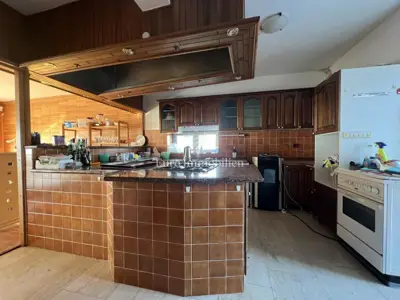 VIŠKOVO, detached house with commercial space, 2 garages - 20