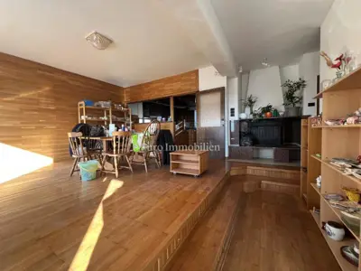 VIŠKOVO, detached house with commercial space, 2 garages - 22