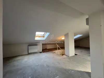 VIŠKOVO, detached house with commercial space, 2 garages - 16