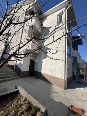 VIŠKOVO, detached house with commercial space, 2 garages - 7