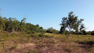 Landwirtschaftliches Grundstück 4.550 m², Galižana - Meerblick - 3