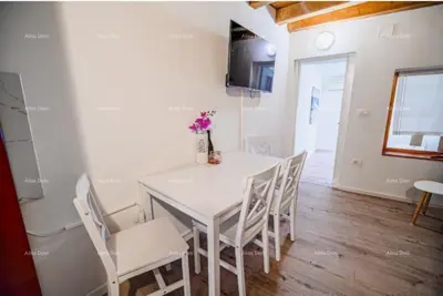 Verkauf einer möblierten und renovierten Wohnung - erste Reihe zum Meer! Umag - 5
