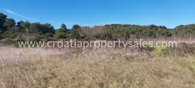 Agricultural land, Vis Island, southern side and access road - 7