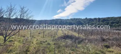 Agricultural land, Vis Island, southern side and access road - 2