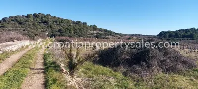 Agricultural land, Vis Island, southern side and access road - 3