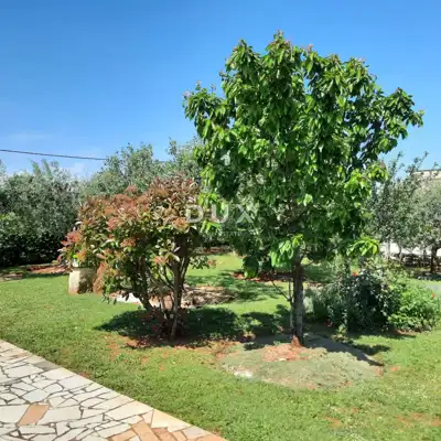 Kuća 155 m², Kavran - dvije kuće i okućnica 1.450 m² - 7