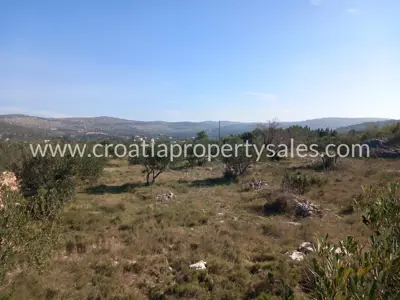 Landwirtschaftsfläche 3.440 m², Otok Brač - Aussicht und Olivenhain - 4