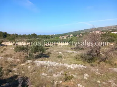 Landwirtschaftsfläche 3.440 m², Otok Brač - Aussicht und Olivenhain