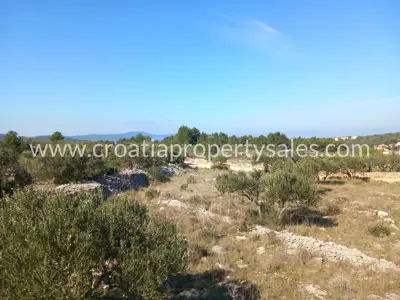 Landwirtschaftsfläche 3.440 m², Otok Brač - Aussicht und Olivenhain - 8