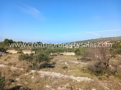 Landwirtschaftsfläche 3.440 m², Otok Brač - Aussicht und Olivenhain - 6