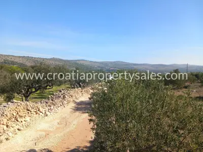 Landwirtschaftsfläche 3.440 m², Otok Brač - Aussicht und Olivenhain - 3