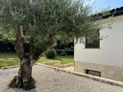 Haus 372 m², Zambratija - 3 Apartments und Pool - 20