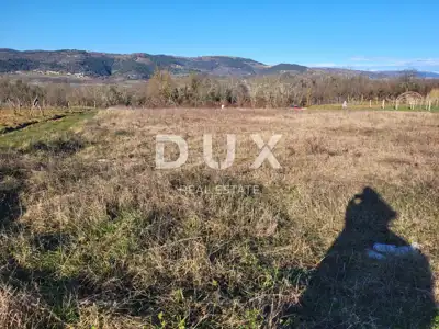 Poljoprivredno zemljište 4.218 m², Motovun - pogled na Motovun - 5