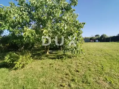 Agricultural land, Medulin - olives and fruit trees - 5
