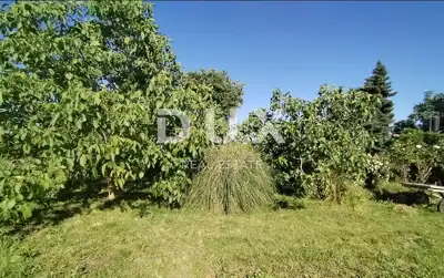 Agricultural land, Medulin - olives and fruit trees - 6