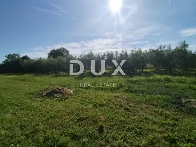 Agricultural land, Medulin - olives and fruit trees - 4