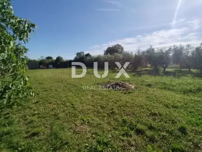 Agricultural land, Medulin - olives and fruit trees - 3