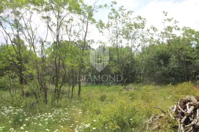 Land 22,564 m², Labin surroundings - building and agricultural - 6