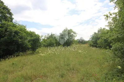 Land 22,564 m², Labin surroundings - building and agricultural - 9