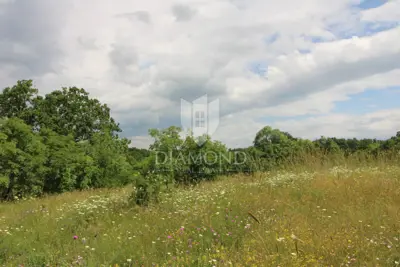 Land 22,564 m², Labin surroundings - building and agricultural - 10