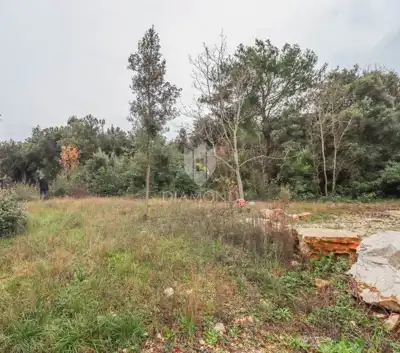 Agricultural land 2,172 m², Rovinj - near beaches