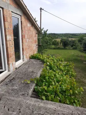 House, Tinjan, quiet area and beautiful view - 3