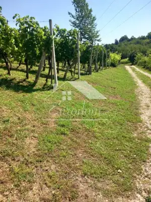 Vineyard cottage 46 m², Ravno Brezje - plot 3,625 m² - 9