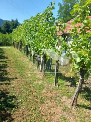 Vineyard cottage 46 m², Ravno Brezje - plot 3,625 m² - 10