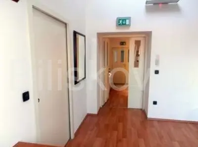 Zakup, Zagreb, D.grad, Trg bana J.Jelačića, p.prostor, 110 m², u potkrovlju - 4