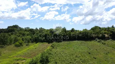 Građevinsko zemljište 2.132 m², Poreč okolica - projekt i dozvola - 2